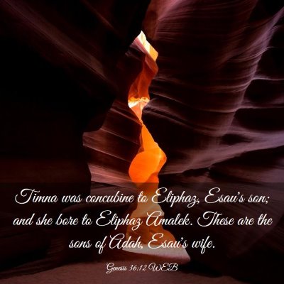 Picture 03 - Genesis 36:12 WEB - Timna was concubine to Eliphaz, Esau's son; and - Bible Verse Picture
