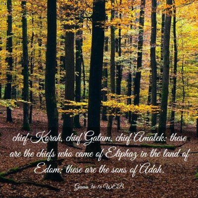 Picture 03 - Genesis 36:16 WEB - chief Korah, chief Gatam, chief Amalek: these are - Bible Verse Picture