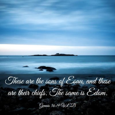 Picture 03 - Genesis 36:19 WEB - These are the sons of Esau, and these are their - Bible Verse Picture