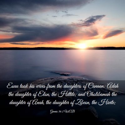 Picture 03 - Genesis 36:2 WEB - Esau took his wives from the daughters of Canaan: - Bible Verse Picture