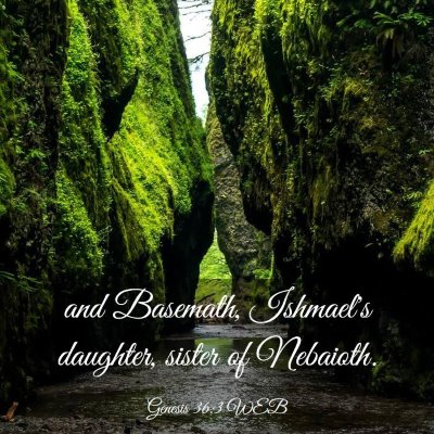 Picture 03 - Genesis 36:3 WEB - and Basemath, Ishmael's daughter, sister of - Bible Verse Picture