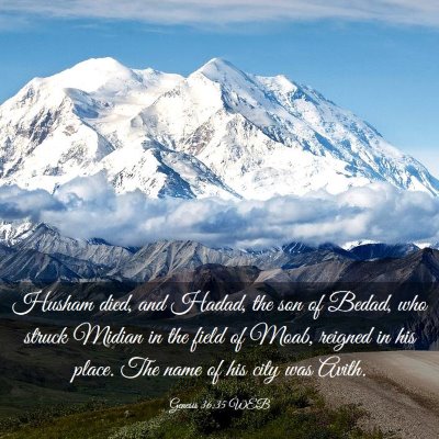 Picture 03 - Genesis 36:35 WEB - Husham died, and Hadad, the son of Bedad, who - Bible Verse Picture