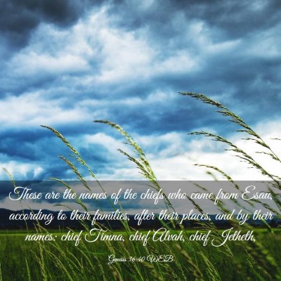 Picture 03 - Genesis 36:40 WEB - These are the names of the chiefs who came from - Bible Verse Picture