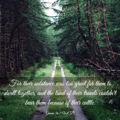 Picture 03 - Genesis 36:7 WEB - For their substance was too great for them to - Bible Verse Picture
