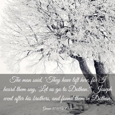 Picture 03 - Genesis 37:17 WEB - The man said, 