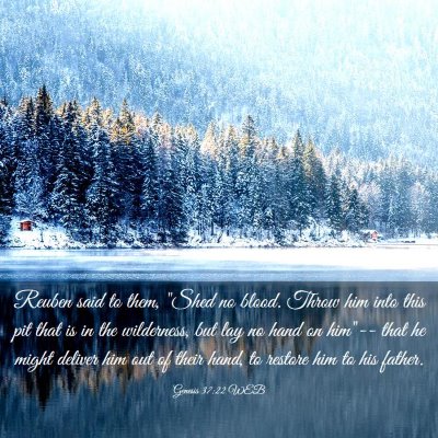 Picture 03 - Genesis 37:22 WEB - Reuben said to them, 