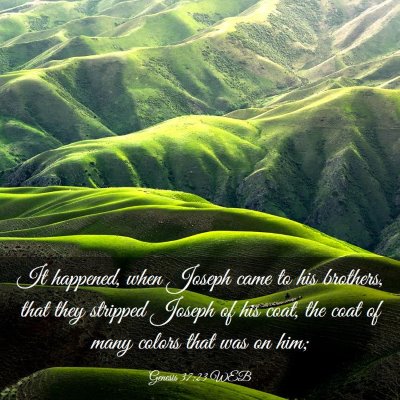 Picture 03 - Genesis 37:23 WEB - It happened, when Joseph came to his brothers, - Bible Verse Picture