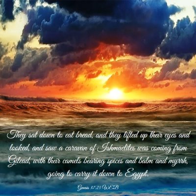 Picture 03 - Genesis 37:25 WEB - They sat down to eat bread, and they lifted up - Bible Verse Picture