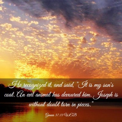 Picture 03 - Genesis 37:33 WEB - He recognized it, and said, 