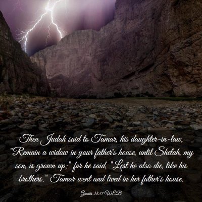 Picture 03 - Genesis 38:11 WEB - Then Judah said to Tamar, his daughter-in-law, - Bible Verse Picture
