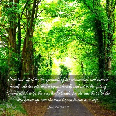 Picture 03 - Genesis 38:14 WEB - She took off of her the garments of her - Bible Verse Picture