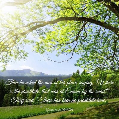 Picture 03 - Genesis 38:21 WEB - Then he asked the men of her place, saying, - Bible Verse Picture