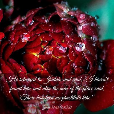 Picture 03 - Genesis 38:22 WEB - He returned to Judah, and said, 