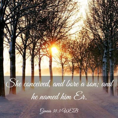 Picture 03 - Genesis 38:3 WEB - She conceived, and bore a son; and he named him - Bible Verse Picture