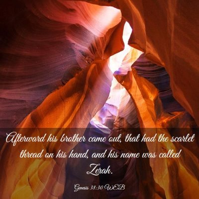 Picture 03 - Genesis 38:30 WEB - Afterward his brother came out, that had the - Bible Verse Picture