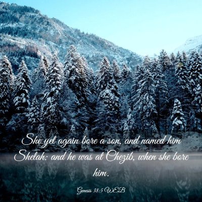 Picture 03 - Genesis 38:5 WEB - She yet again bore a son, and named him Shelah: - Bible Verse Picture