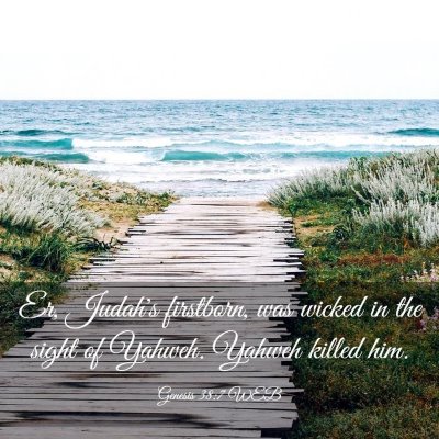 Picture 03 - Genesis 38:7 WEB - Er, Judah's firstborn, was wicked in the sight of - Bible Verse Picture