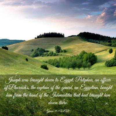 Picture 03 - Genesis 39:1 WEB - Joseph was brought down to Egypt. Potiphar, an - Bible Verse Picture