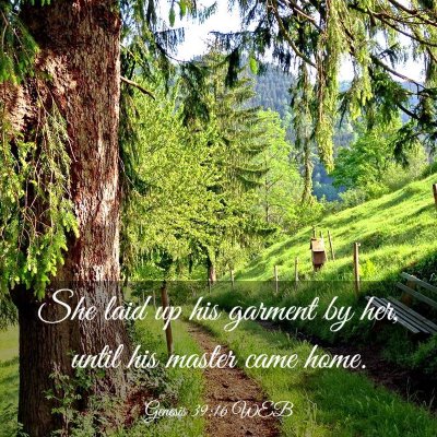 Picture 03 - Genesis 39:16 WEB - She laid up his garment by her, until his master - Bible Verse Picture