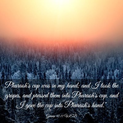 Picture 03 - Genesis 40:11 WEB - Pharaoh's cup was in my hand; and I took the - Bible Verse Picture