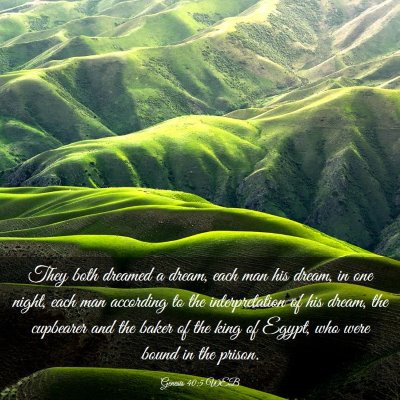 Picture 03 - Genesis 40:5 WEB - They both dreamed a dream, each man his dream, in - Bible Verse Picture