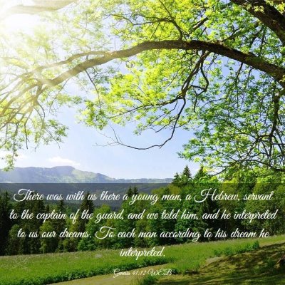 Picture 03 - Genesis 41:12 WEB - There was with us there a young man, a Hebrew, - Bible Verse Picture