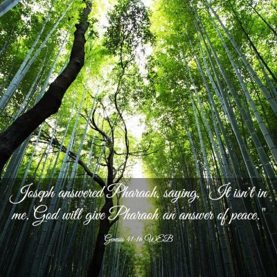 Picture 03 - Genesis 41:16 WEB - Joseph answered Pharaoh, saying, 
