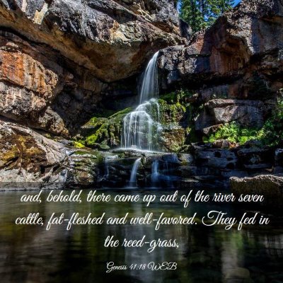 Picture 03 - Genesis 41:18 WEB - and, behold, there came up out of the river seven - Bible Verse Picture