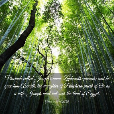 Picture 03 - Genesis 41:45 WEB - Pharaoh called Joseph's name Zaphenath-paneah; - Bible Verse Picture