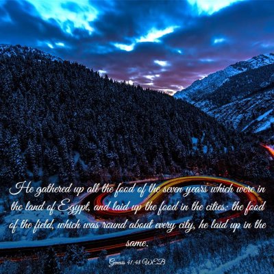 Picture 03 - Genesis 41:48 WEB - He gathered up all the food of the seven years - Bible Verse Picture