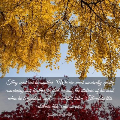 Picture 03 - Genesis 42:21 WEB - They said one to another, 