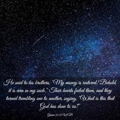 Picture 03 - Genesis 42:28 WEB - He said to his brothers, 