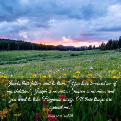 Picture 03 - Genesis 42:36 WEB - Jacob, their father, said to them, 