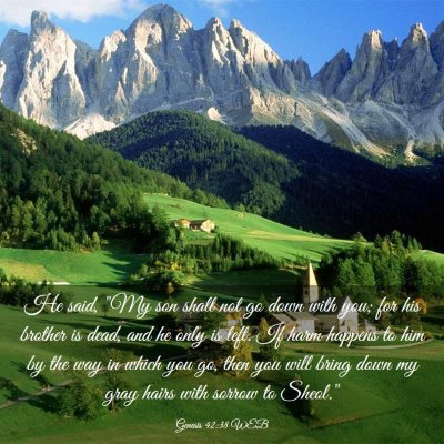 Picture 03 - Genesis 42:38 WEB - He said, 