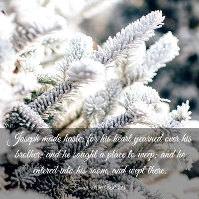 Picture 03 - Genesis 43:30 WEB - Joseph made haste; for his heart yearned over his - Bible Verse Picture