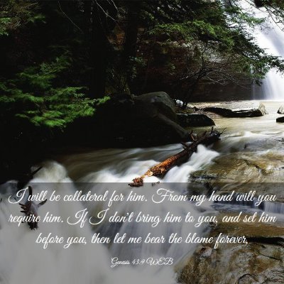 Picture 03 - Genesis 43:9 WEB - I will be collateral for him. From my hand will - Bible Verse Picture