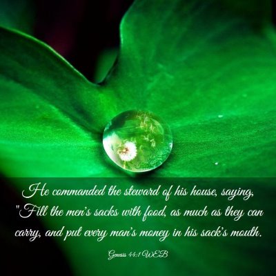 Picture 03 - Genesis 44:1 WEB - He commanded the steward of his house, saying, - Bible Verse Picture