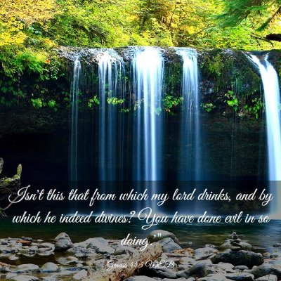 Picture 03 - Genesis 44:5 WEB - Isn't this that from which my lord drinks, and by - Bible Verse Picture