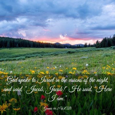 Picture 03 - Genesis 46:2 WEB - God spoke to Israel in the visions of the night, - Bible Verse Picture