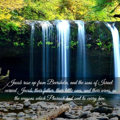Picture 03 - Genesis 46:5 WEB - Jacob rose up from Beersheba, and the sons of - Bible Verse Picture