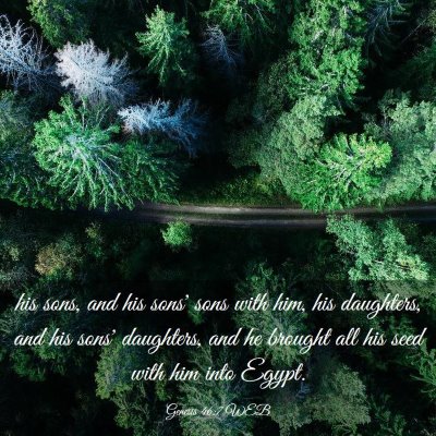 Picture 03 - Genesis 46:7 WEB - his sons, and his sons' sons with him, his - Bible Verse Picture