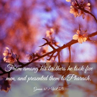 Picture 03 - Genesis 47:2 WEB - From among his brothers he took five men, and - Bible Verse Picture