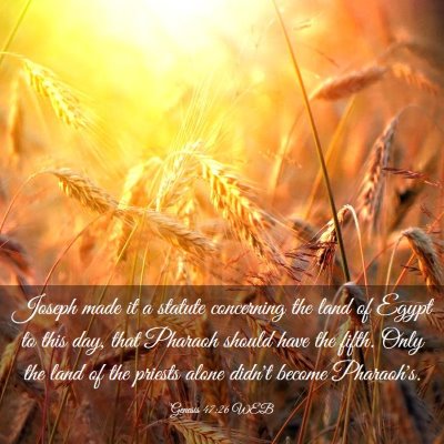Picture 03 - Genesis 47:26 WEB - Joseph made it a statute concerning the land of - Bible Verse Picture