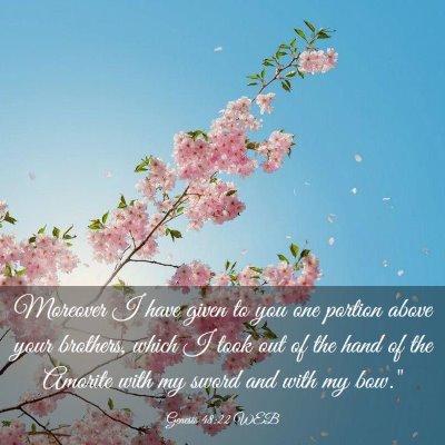 Picture 03 - Genesis 48:22 WEB - Moreover I have given to you one portion above - Bible Verse Picture