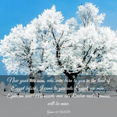 Picture 03 - Genesis 48:5 WEB - Now your two sons, who were born to you in the - Bible Verse Picture