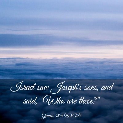 Picture 03 - Genesis 48:8 WEB - Israel saw Joseph's sons, and said, 
