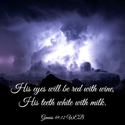 Picture 03 - Genesis 49:12 WEB - His eyes will be red with wine, His teeth white - Bible Verse Picture