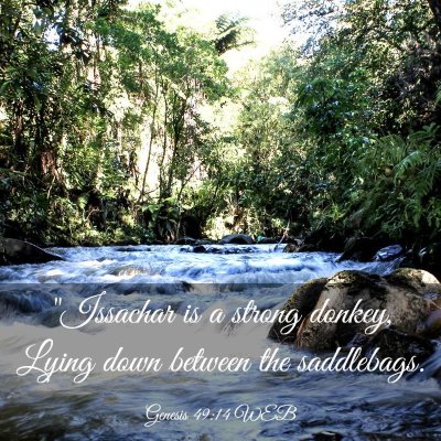 Picture 03 - Genesis 49:14 WEB - 