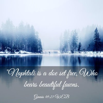 Picture 03 - Genesis 49:21 WEB - 