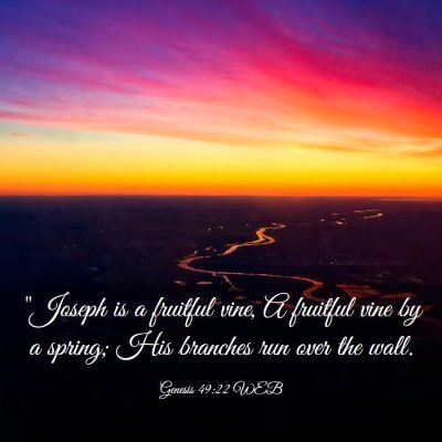 Picture 03 - Genesis 49:22 WEB - 